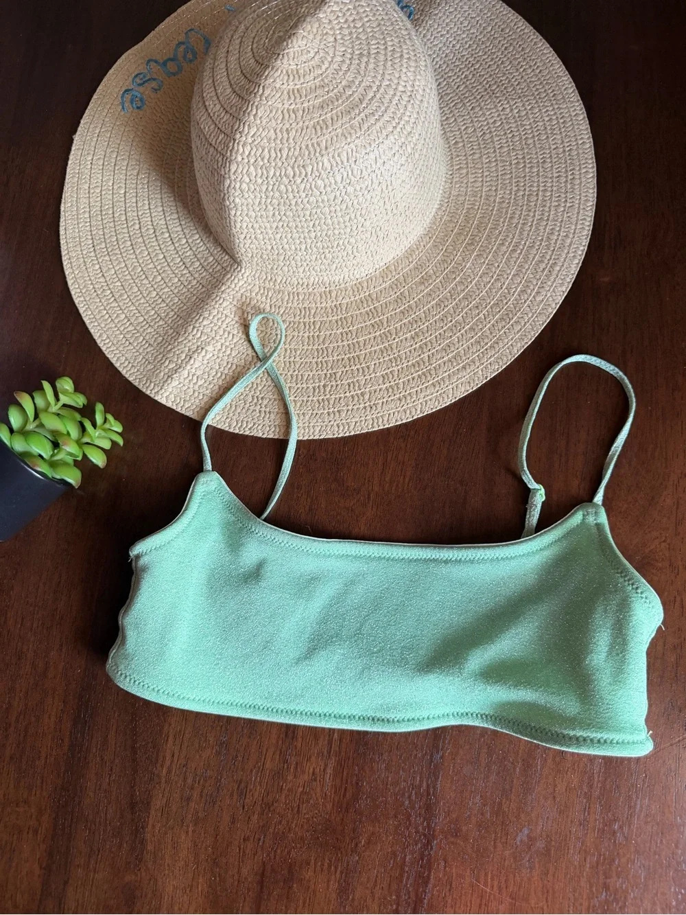 Triangl Shimmery Light Green Bikini Top Size Small